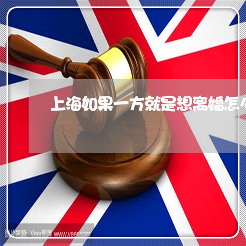 上海如果一方就是想离婚怎么办/2023060229593