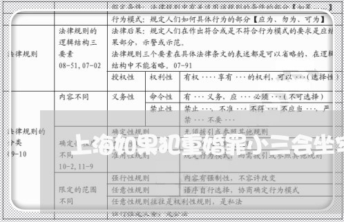上海如果犯重婚罪小三会坐牢吗/2023060212827