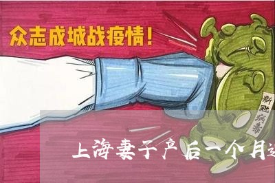 上海妻子产后一个月遭离婚/2023031438469 上海妻子产后一个月遭离婚/2023031438469