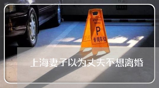 上海妻子以为丈夫不想离婚/2023031473823 上海妻子以为丈夫不想离婚/2023031473823