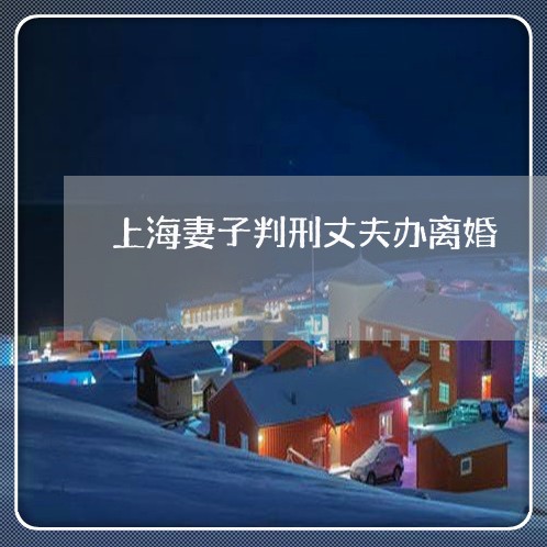 上海妻子判刑丈夫办离婚/2023022526149 上海妻子判刑丈夫办离婚/2023022526149