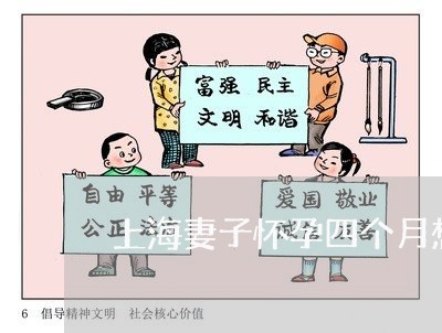 上海妻子怀孕四个月想离婚/2023031459524 上海妻子怀孕四个月想离婚/2023031459524