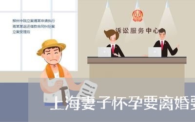上海妻子怀孕要离婚要什么手续/2023060155026 上海妻子怀孕要离婚要什么手续/2023060155026