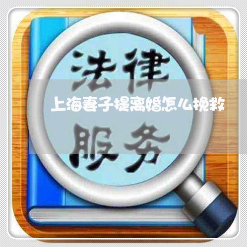 上海妻子提离婚怎么挽救/2023022503836