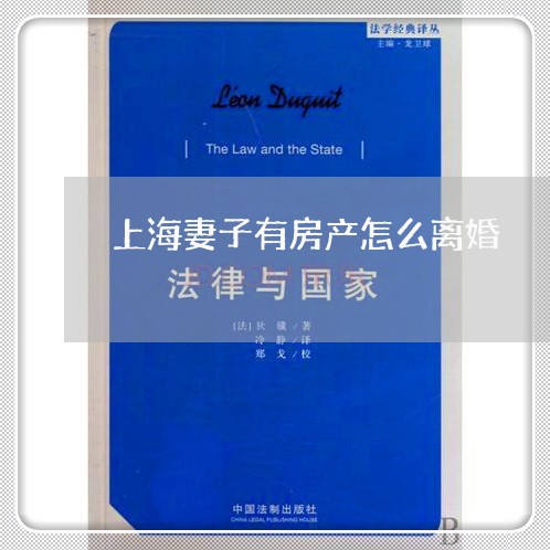 上海妻子有房产怎么离婚/2023022549481