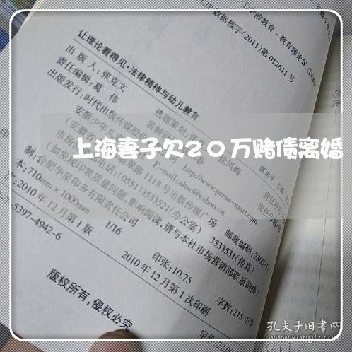 上海妻子欠20万赌债离婚/2023031428161
