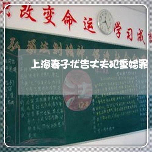 上海妻子状告丈夫犯重婚罪/2023031417271 上海妻子状告丈夫犯重婚罪/2023031417271