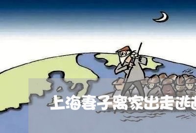 上海妻子离家出走逃避离婚/2023031428170