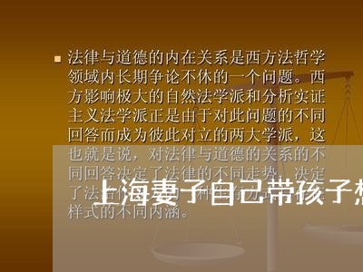 上海妻子自己带孩子想离婚/2023031429350