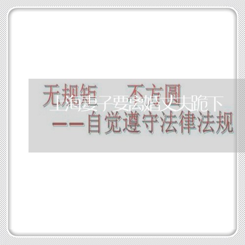 上海妻子要离婚丈夫跪下/2023022504625 上海妻子要离婚丈夫跪下/2023022504625