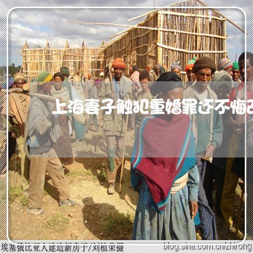 上海妻子触犯重婚罪还不悔改/2023032851361
