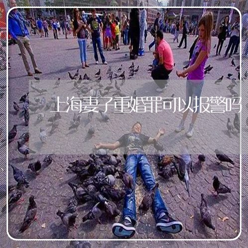 上海妻子重婚罪可以报警吗/2023031480601