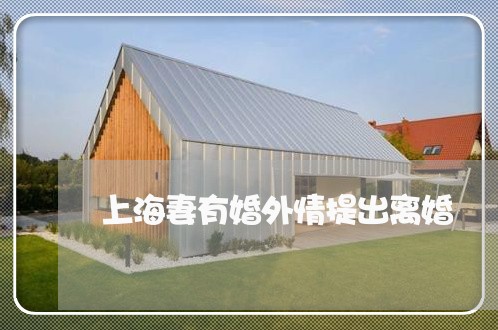 上海妻有婚外情提出离婚/2023022507957