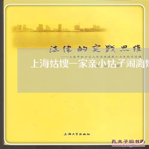 上海姑嫂一家亲小姑子闹离婚/2023032815160