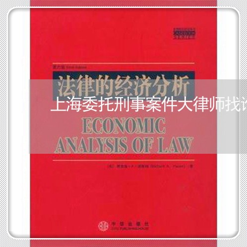 上海委托刑事案件大律师找谁/2023032821573
