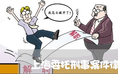 上海委托刑事案件律师多少钱/2023032815959
