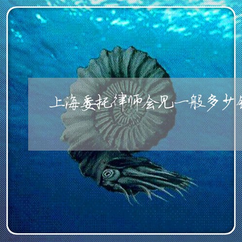 上海委托律师会见一般多少钱/2023032850405