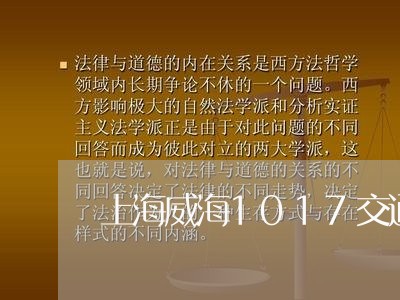 上海威海1017交通肇事案/2023032848381 上海威海1017交通肇事案/2023032848381