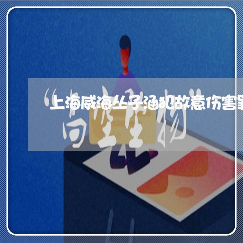 上海威海丛子涵犯故意伤害罪/2023032840363 上海威海丛子涵犯故意伤害罪/2023032840363