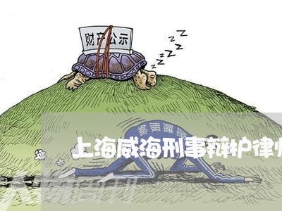上海威海刑事辩护律师哪个好/2023032837350 上海威海刑事辩护律师哪个好/2023032837350