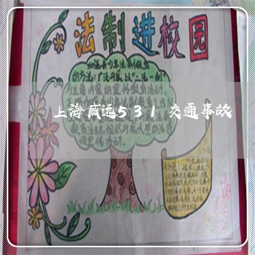 上海威远531交通事故/2023022580504 上海威远531交通事故/2023022580504