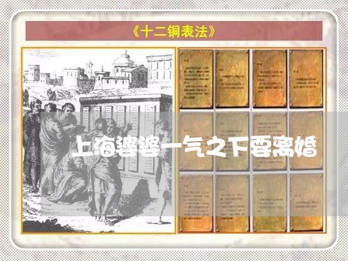 上海婆婆一气之下要离婚/2023022574714 上海婆婆一气之下要离婚/2023022574714