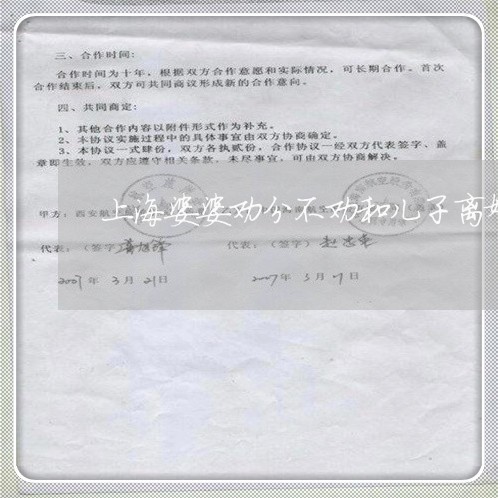 上海婆婆劝分不劝和儿子离婚/2023032816371