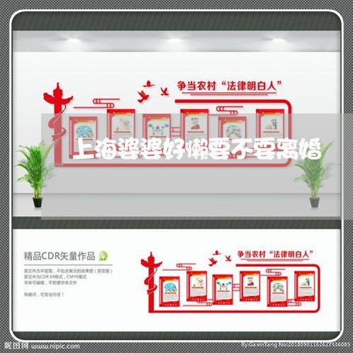 上海婆婆好懒要不要离婚/2023022537050 上海婆婆好懒要不要离婚/2023022537050