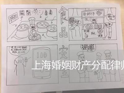 上海婚姻财产分配律师哪个律师好
