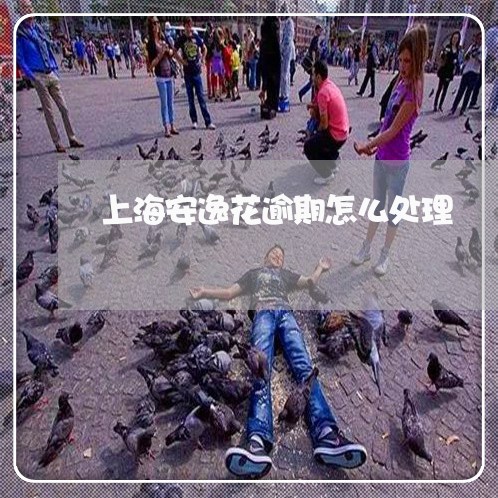 上海安逸花逾期怎么处理 上海安逸花逾期怎么处理