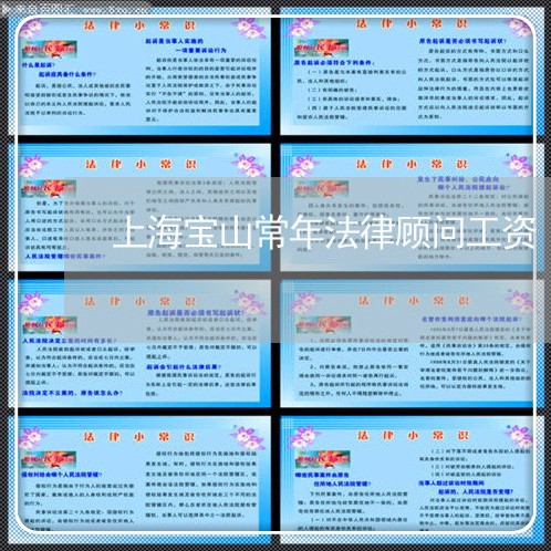上海宝山常年法律顾问工资/2023061841826