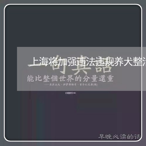 上海将加强违法违规养犬整治