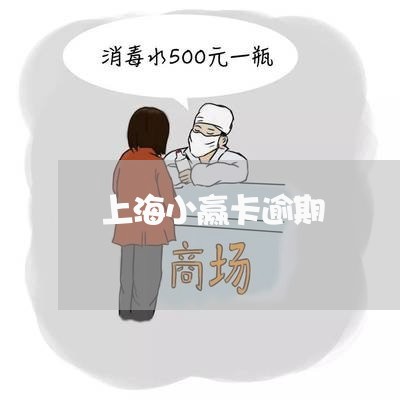 上海小赢卡逾期/2023071407272