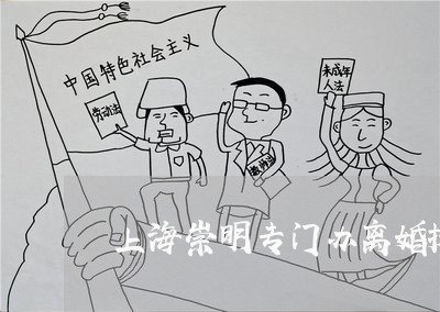 上海崇明专门办离婚抚养权律师