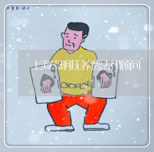 上海崇明抚养费法律顾问/2023061884835