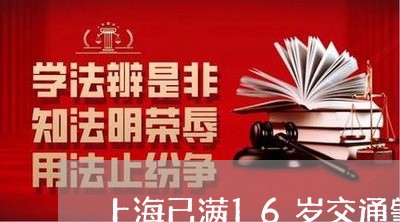 上海已满16岁交通肇事逃逸/2023040987159 上海已满16岁交通肇事逃逸/2023040987159