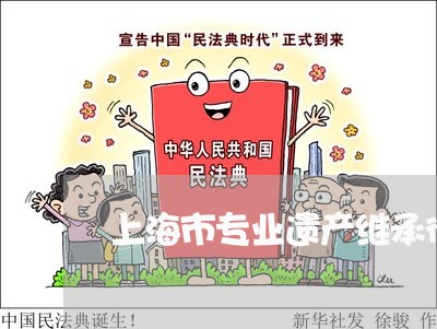 上海市专业遗产继承律师