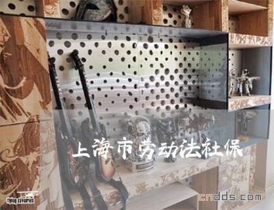 上海市劳动法社保 上海市劳动法社保