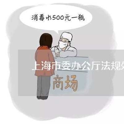 上海市委办公厅法规处副处长