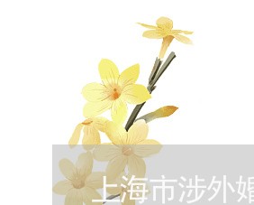 上海市涉外婚姻律师介绍