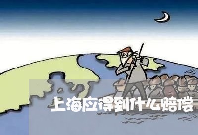 上海应得到什么赔偿/2023021747240