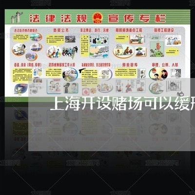 上海开设赌场可以缓刑执行吗/2023032685717