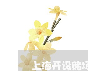 上海开设赌场员工罚金怎么罚/2023032604858