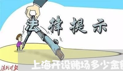 上海开设赌场多少金额是重大/2023032615837 上海开设赌场多少金额是重大/2023032615837