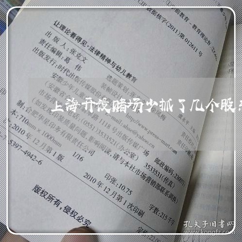 上海开设赌场少抓了几个股东/2023032606937 上海开设赌场少抓了几个股东/2023032606937