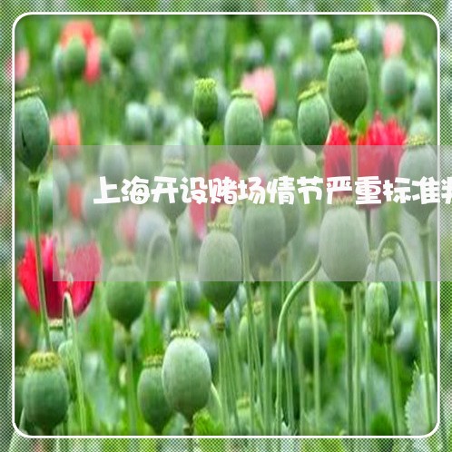 上海开设赌场情节严重标准判/2023032651703 上海开设赌场情节严重标准判/2023032651703