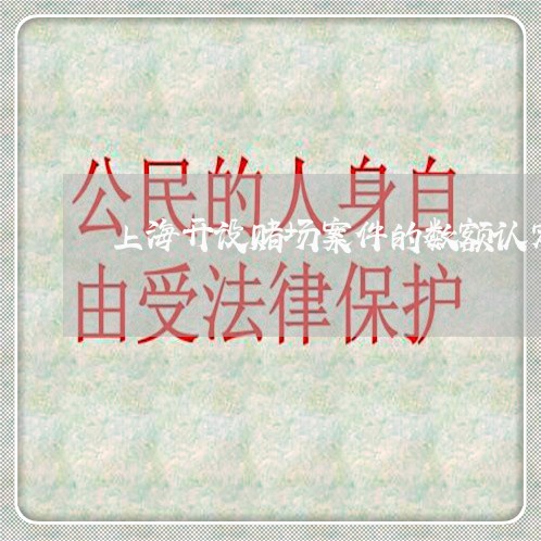 上海开设赌场案件的数额认定/2023032637370 上海开设赌场案件的数额认定/2023032637370