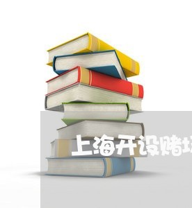 上海开设赌场案属于什么类别/2023032689473 上海开设赌场案属于什么类别/2023032689473