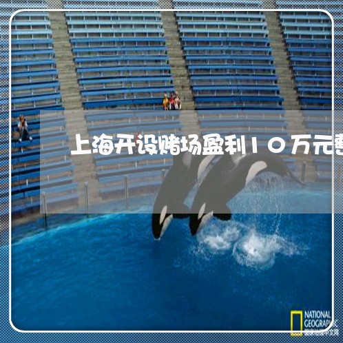 上海开设赌场盈利10万元整/2023032631595