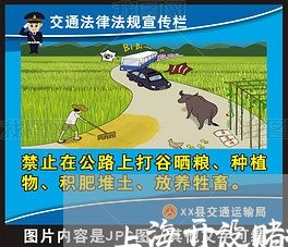 上海开设赌场社会危险性说明/2023032704736